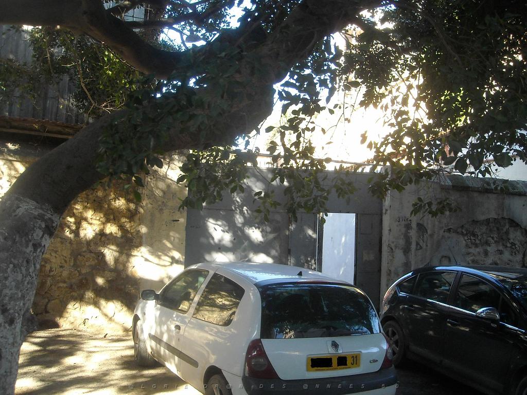 ORAN 2013 JANVIER - L'Oranaise.JPG
